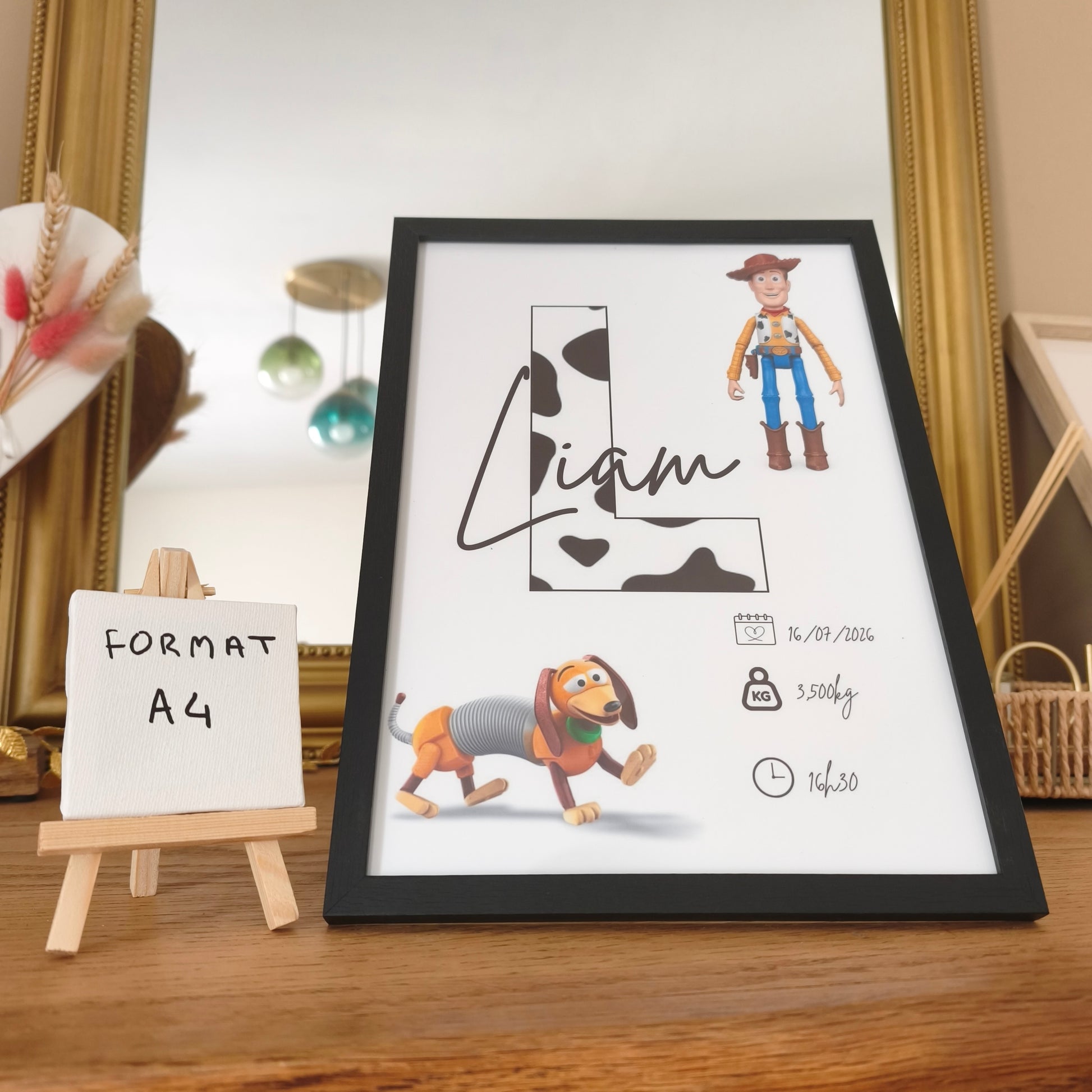 Affiche toy story